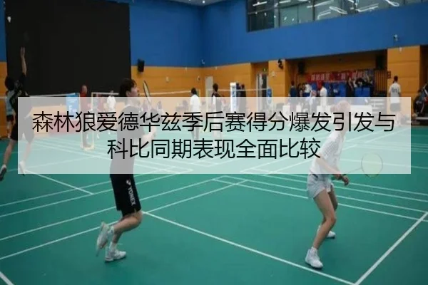 森林狼爱德华兹季后赛得分爆发引发与科比同期表现全面比较